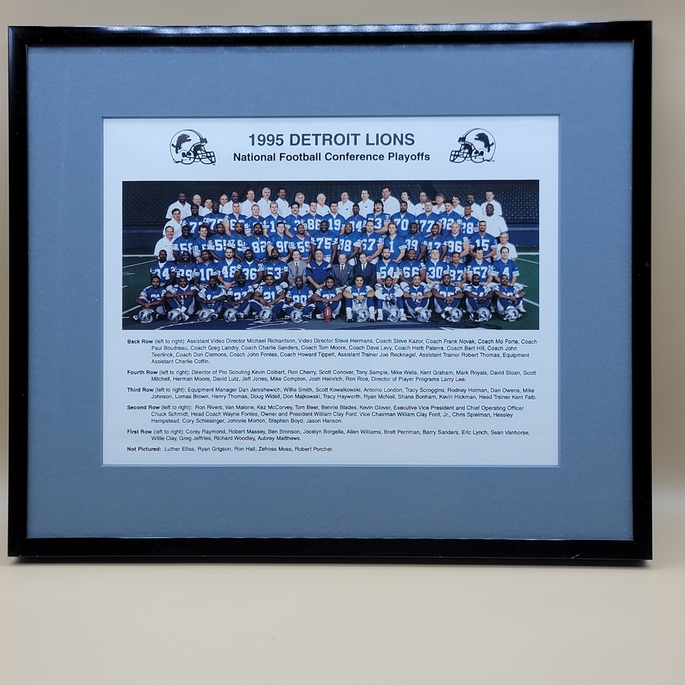 1995 Detroit Lions NFL Conference Playoffs Framed Team Photo 14.75" W X 12" L